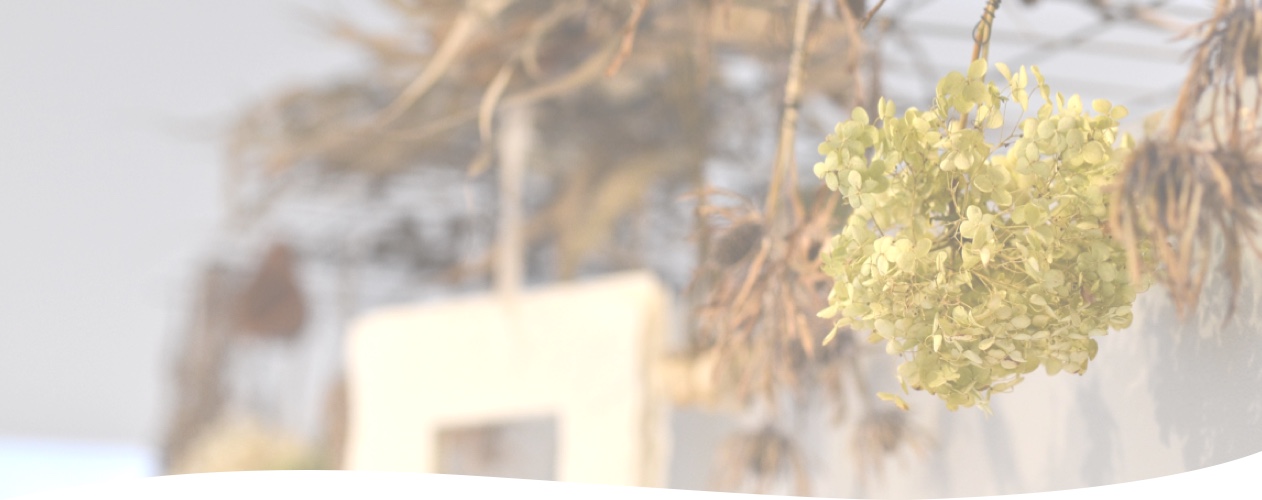 kachina カチナ 三重 四日市 美容室